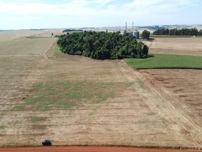 rea Rural para Venda, em Sede Nova, bairro 