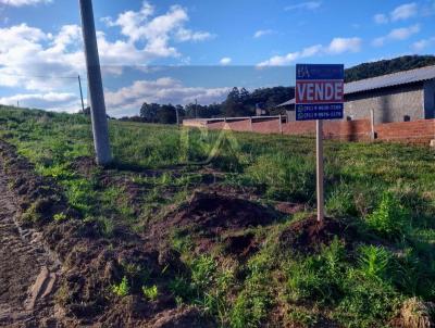 Imveis Vendidos para Venda, em Serto Santana, bairro Centro