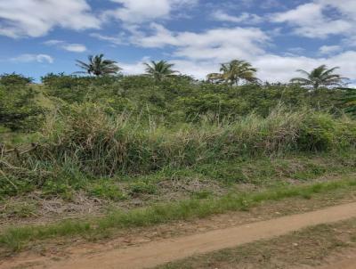Terreno para Venda, em Tangu, bairro Mangueirinha