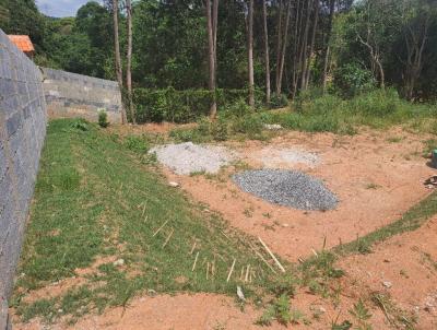 Terreno para Venda, em Ibina, bairro Centro