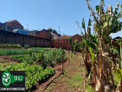 Stio / Chcara para Venda, em Franca, bairro Jardim Luiza II