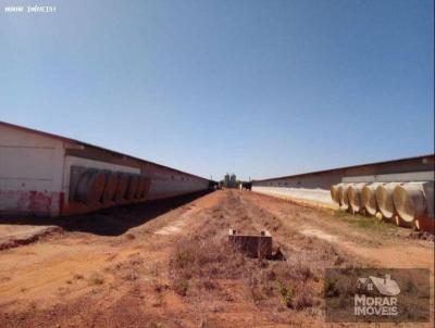 Fazenda para Venda, em Nova Mutum, bairro Centro