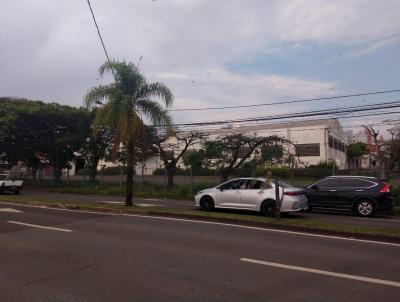 Barraco para Locao, em Piracicaba, bairro Higienpolis