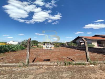 Terreno para Venda, em Santa Rosa, bairro Planalto