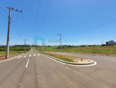 Lote para Venda, em Iara, bairro Cristo Rei