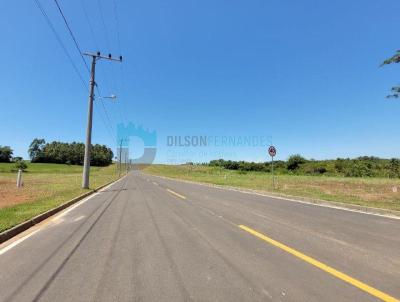 Lote para Venda, em Iara, bairro Primeira Linha Sango