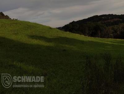 rea Rural para Venda, em Trs Passos, bairro 