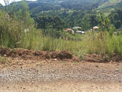 Terreno para Venda, em Santa Maria do Herval, bairro Boa Vista do Herval