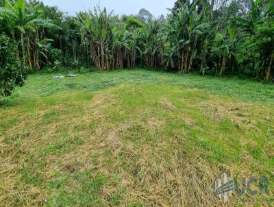 Terreno para Venda, em Miguel Pereira, bairro Baro de Javary