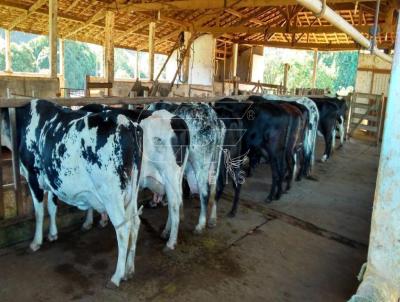 Stio para Venda, em So Sebastio do Paraso, bairro Rural