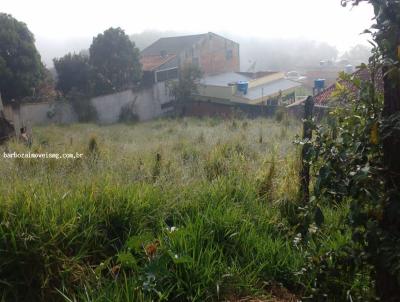 Terreno para Venda, em Carmo de Minas, bairro Nh Chica