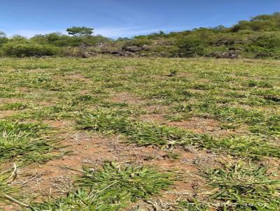 rea Rural para Venda, em So Francisco de Assis, bairro 