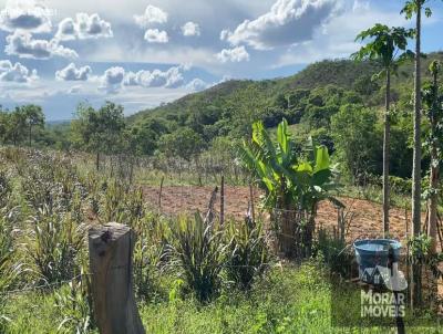 Fazenda para Venda, em Olhos D`gua, bairro Olhos Dgua, 4 dormitrios, 2 banheiros