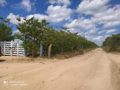 Fazenda para Venda, em gua Fria, bairro Pataba