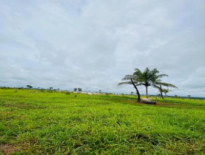 Fazenda para Venda, em Brasnorte, bairro AREA RURAL