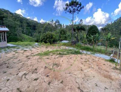 rea Rural para Venda, em Cambori, bairro Loro