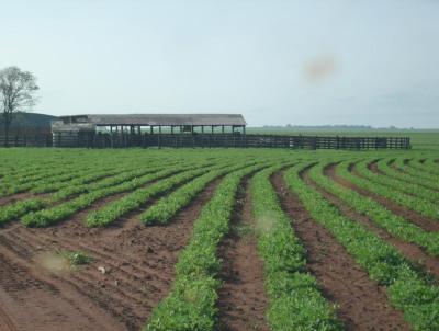 Fazenda para Venda, em Marlia, bairro Palmital, 3 dormitrios, 3 banheiros, 2 sutes, 2 vagas