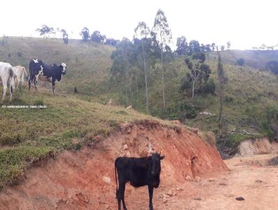 Stio para Venda, em Camanducaia, bairro Jaguary