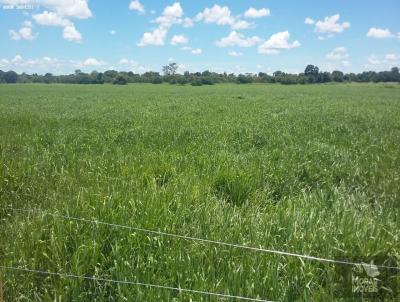 Fazenda para Venda, em Santo Hiplito, bairro (Fazendinha)