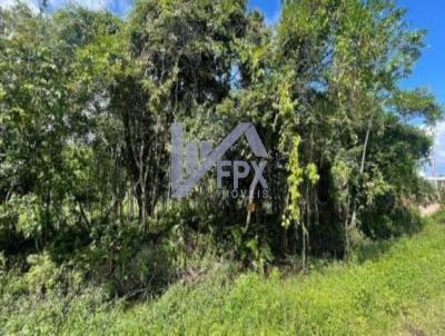 Terreno para Venda, em Itanham, bairro Jardim das Palmeiras