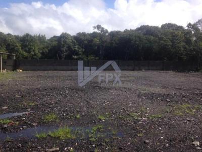 Terreno para Venda, em Itanham, bairro Jardim Maramb 2