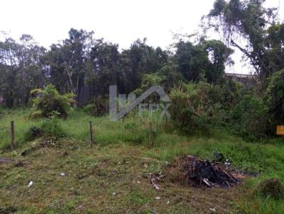 Terreno para Venda, em Itanham, bairro Jardim das Palmeiras