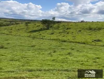 Fazenda para Venda, em Padre Bernardo, bairro Padre Bernardo