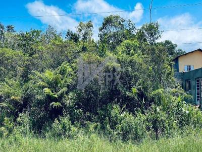 Terreno para Venda, em Itanham, bairro Jardim Guacyra