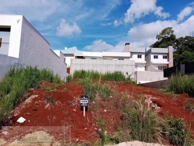 Terreno para Venda, em Pato Branco, bairro So Francisco