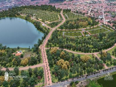 Lote para Venda, em Fortaleza, bairro Lago Monte Negro