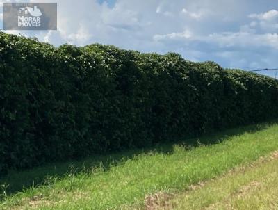 Fazenda para Venda, em Salvador, bairro Cidade Alta