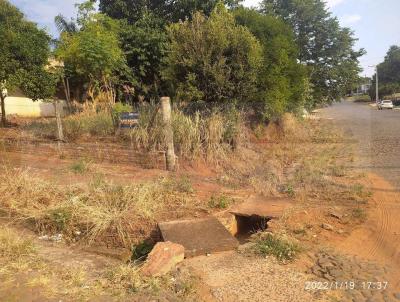 Terreno para Venda, em So Francisco de Assis, bairro centro