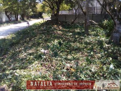 Terreno para Venda, em Perube, bairro 