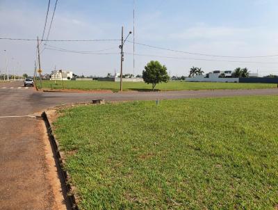 Terreno para Venda, em Lucas do Rio Verde, bairro Buritis