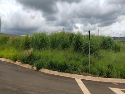 Terreno para Venda, em Ourinhos, bairro Nova Alcntara