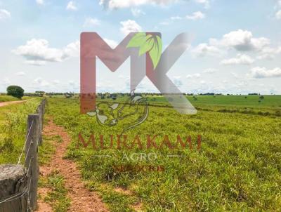 Fazenda para Venda, em Rio Verde de Mato Grosso, bairro FAZENDA