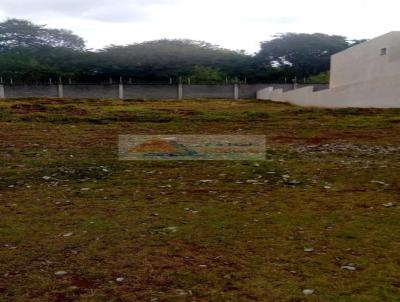 imagem-miniatura