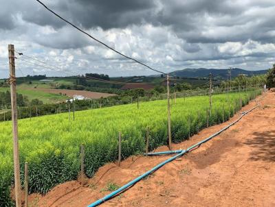 Stio para Venda, em Bragana Paulista, bairro Campo Novo, 2 dormitrios, 1 banheiro