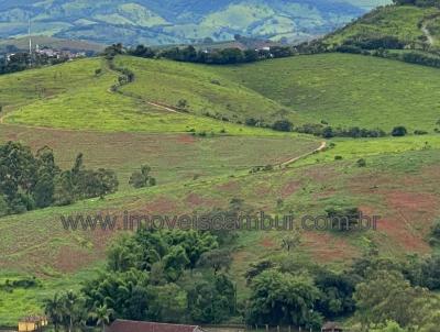 Fazenda para Venda, em Conceio do Rio Verde, bairro 