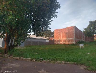 Terreno para Venda, em Alfredo Marcondes, bairro Jardim Mirassol - Alfredo Marcondes