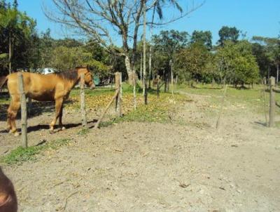 Chcara para Venda, em Itanham, bairro Jardim Coronel, 1 dormitrio, 1 banheiro