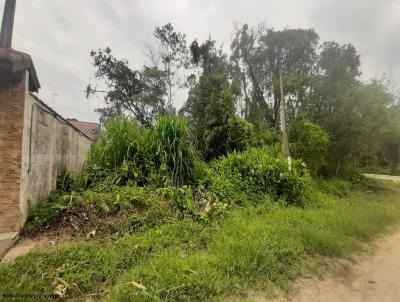 Terreno para Venda, em Itanham, bairro Suaro