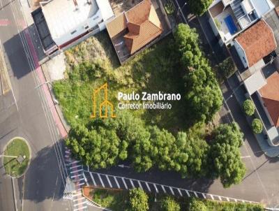 imagem-miniatura