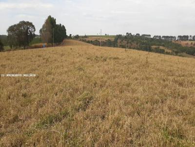 Fazenda para Venda, em Alfenas, bairro As Margens da Represa de Furnas