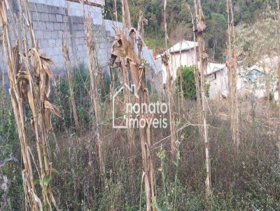 Lote para Venda, em Itabirito, bairro Recanto da Mata