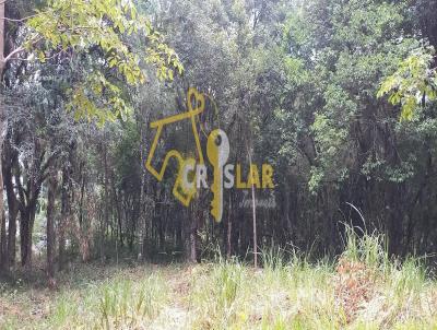 Terreno para Venda, em Bento Gonalves, bairro BORGO