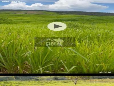 Fazenda para Venda, em Colinas do Sul, bairro colina do sul