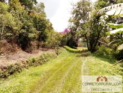 Terreno para Venda, em Piedade, bairro Prestes