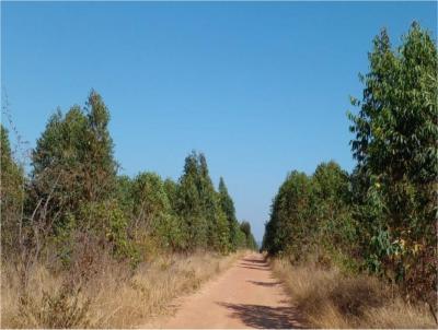 Fazenda para Venda, em Riacho dos Machados, bairro 1