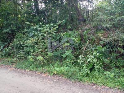 Terreno para Venda, em Itanham, bairro Jardim Coronel